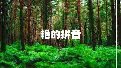艷的拼音