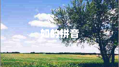 如的拼音