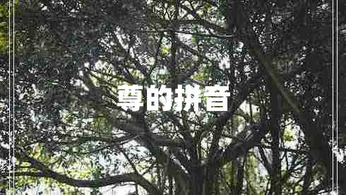 尊的拼音
