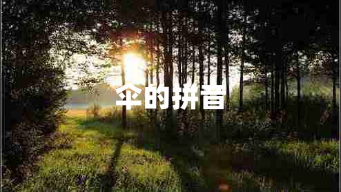 傘的拼音