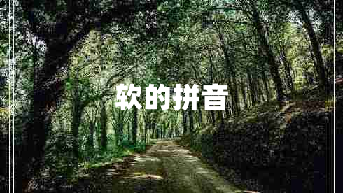 軟的拼音