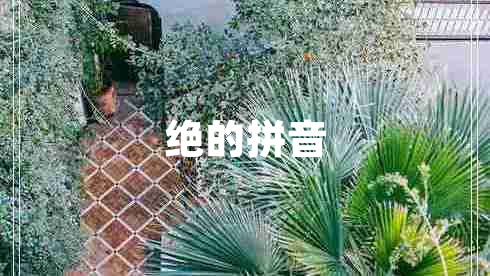 絕的拼音