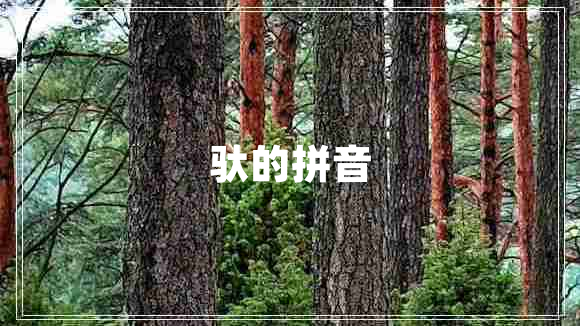 馱的拼音