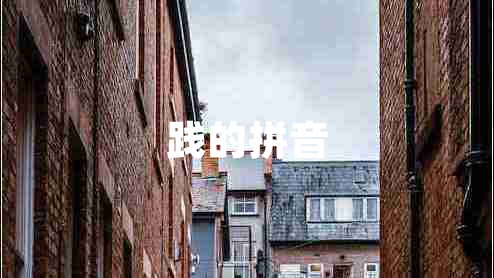 踐的拼音