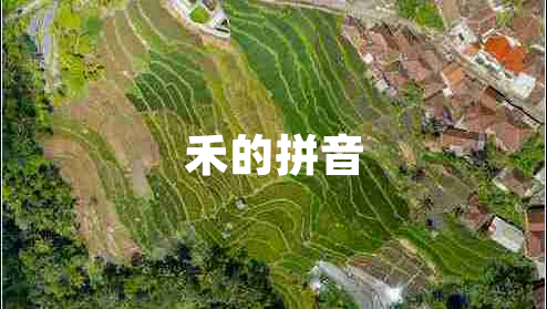 禾的拼音