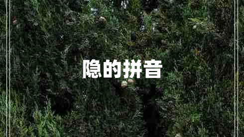 隱的拼音