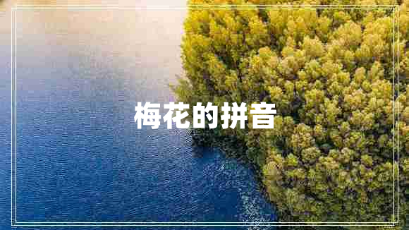 梅花的拼音