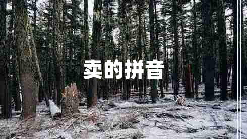 賣(mài)的拼音