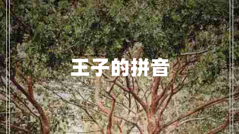 王子的拼音