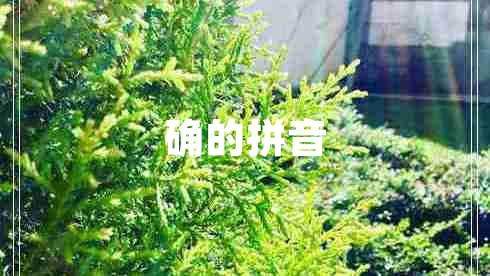 確的拼音