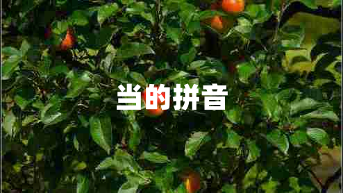 當的拼音