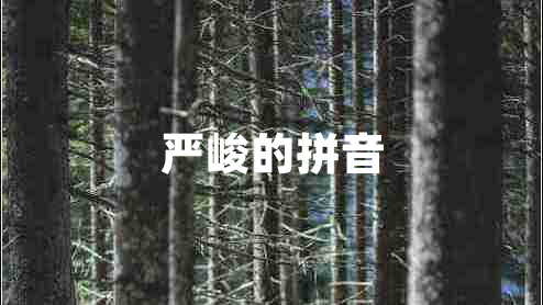 嚴峻的拼音