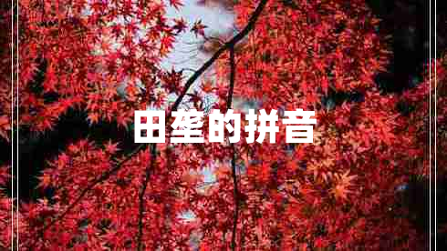 田壟的拼音