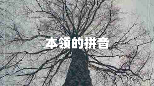 本領(lǐng)的拼音