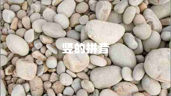 豎的拼音