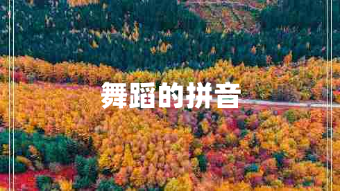 舞蹈的拼音