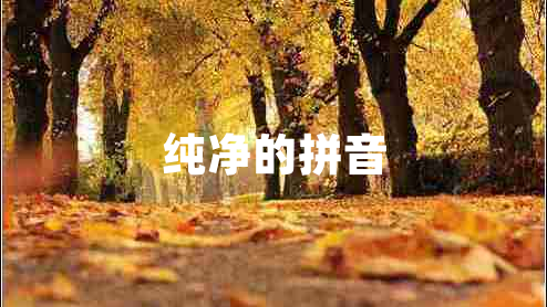 純凈的拼音
