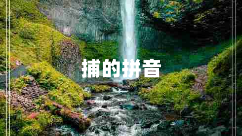 捕的拼音
