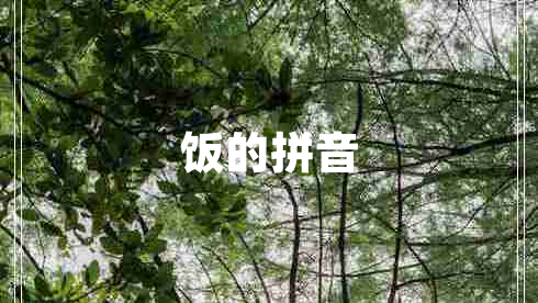 飯的拼音