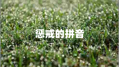 懲戒的拼音