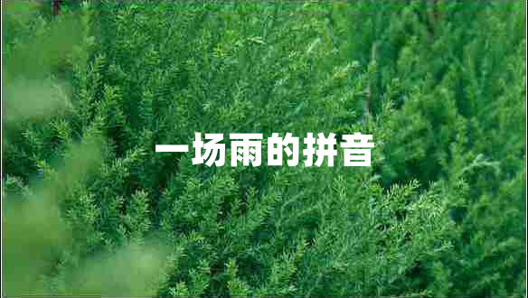 一場(chǎng)雨的拼音