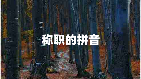 稱(chēng)職的拼音