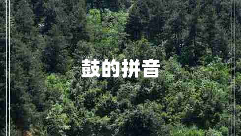鼓的拼音
