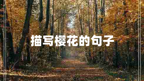 描寫(xiě)櫻花的句子