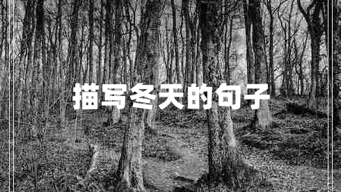 描寫(xiě)冬天的句子