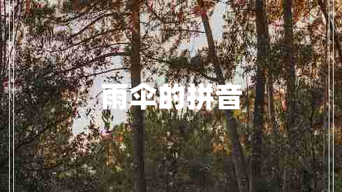 雨傘的拼音