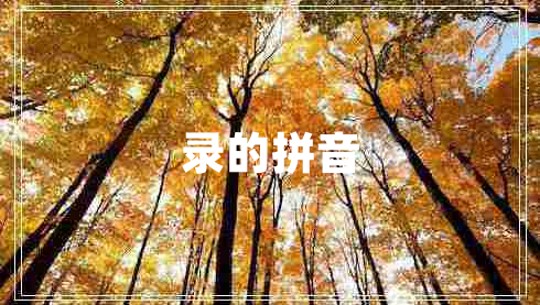 錄的拼音