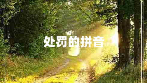 處罰的拼音