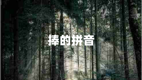 捧的拼音