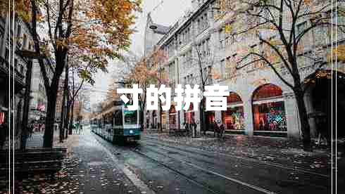 寸的拼音