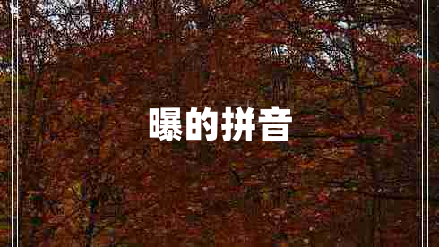 曝的拼音
