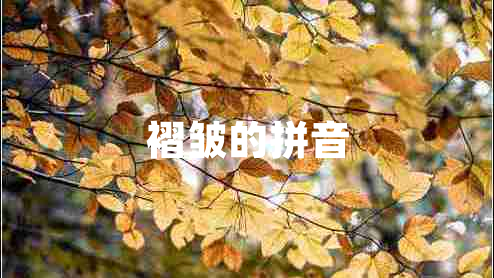 褶皺的拼音