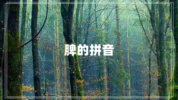 脾的拼音