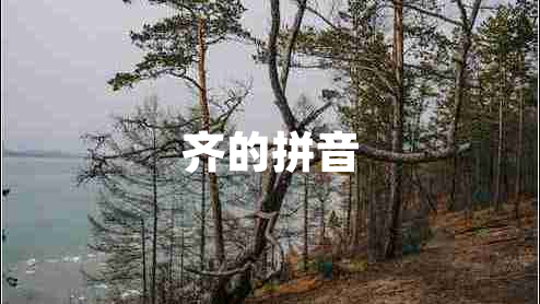 齊的拼音