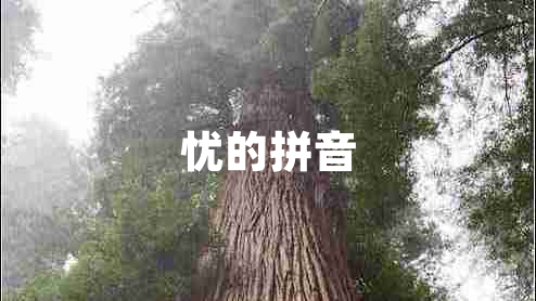 憂(yōu)的拼音