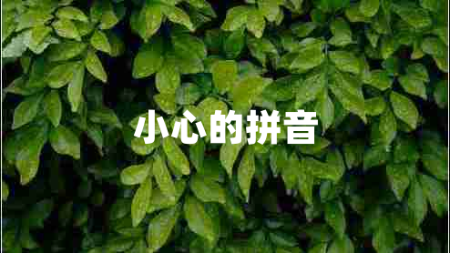 小心的拼音