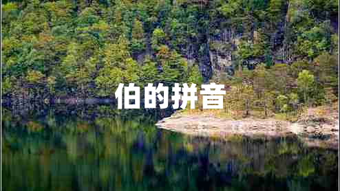 伯的拼音