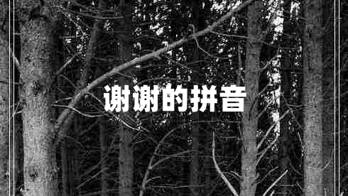 謝謝的拼音