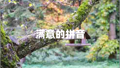 滿(mǎn)意的拼音