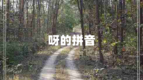 呀的拼音