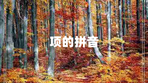 項的拼音