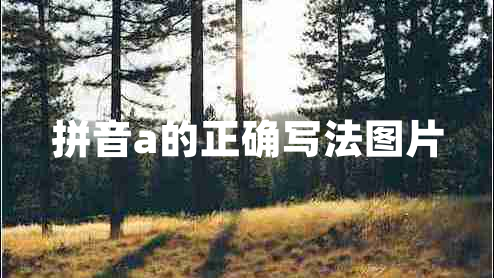 拼音a的正確寫(xiě)法圖片