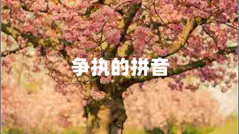 爭執的拼音