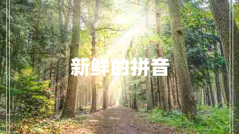 新鮮的拼音