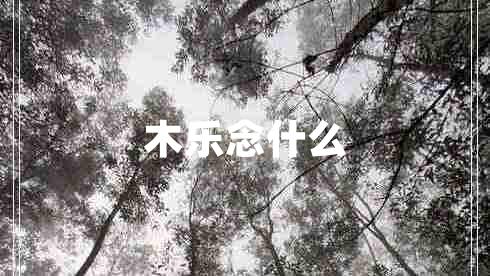 木樂(lè )念什么