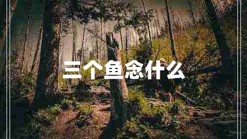 三個(gè)魚(yú)念什么